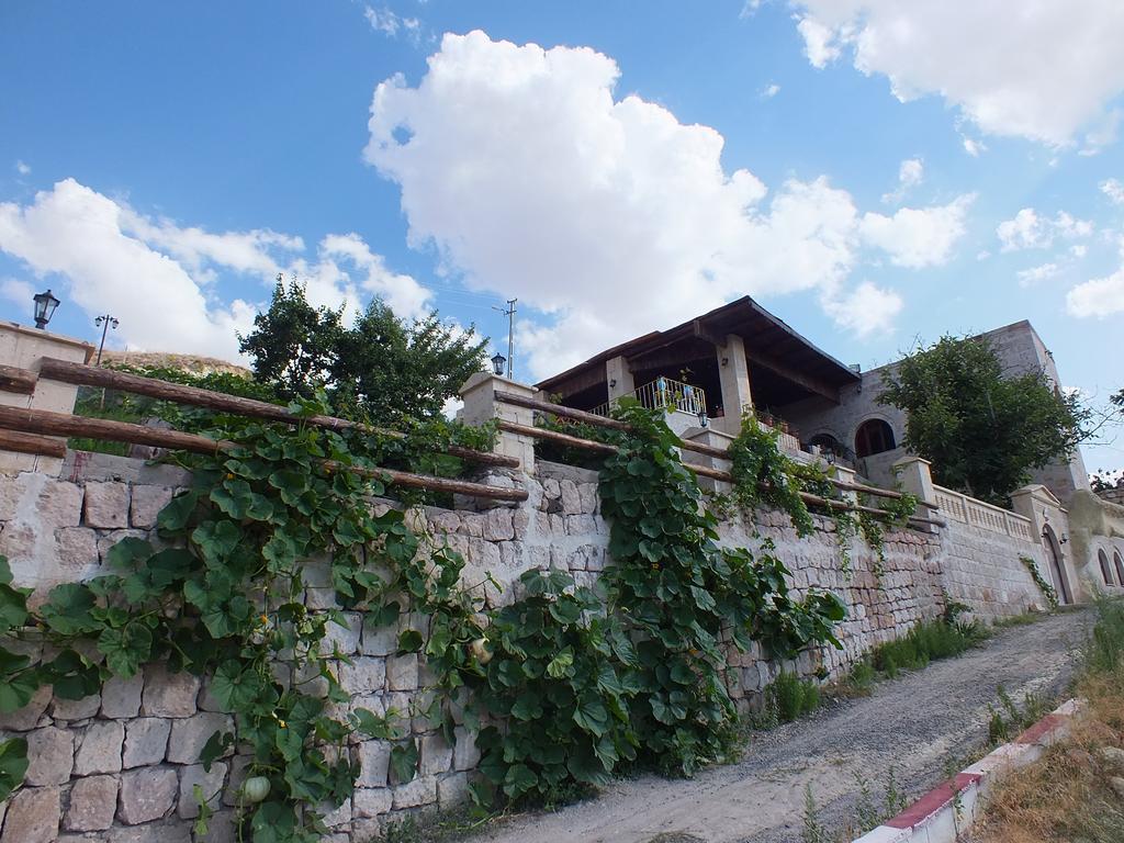 Dilek Tepesi Cave Hotel Ayvali Exteriör bild
